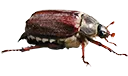 Attēls:Jutme Bambalis 901421803413594113.png