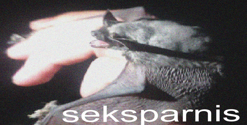 Attēls:Sekspārnis.png